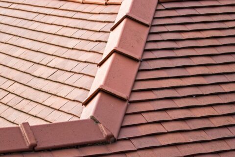Dry Ridge and Dry Verge Experts Welshpool